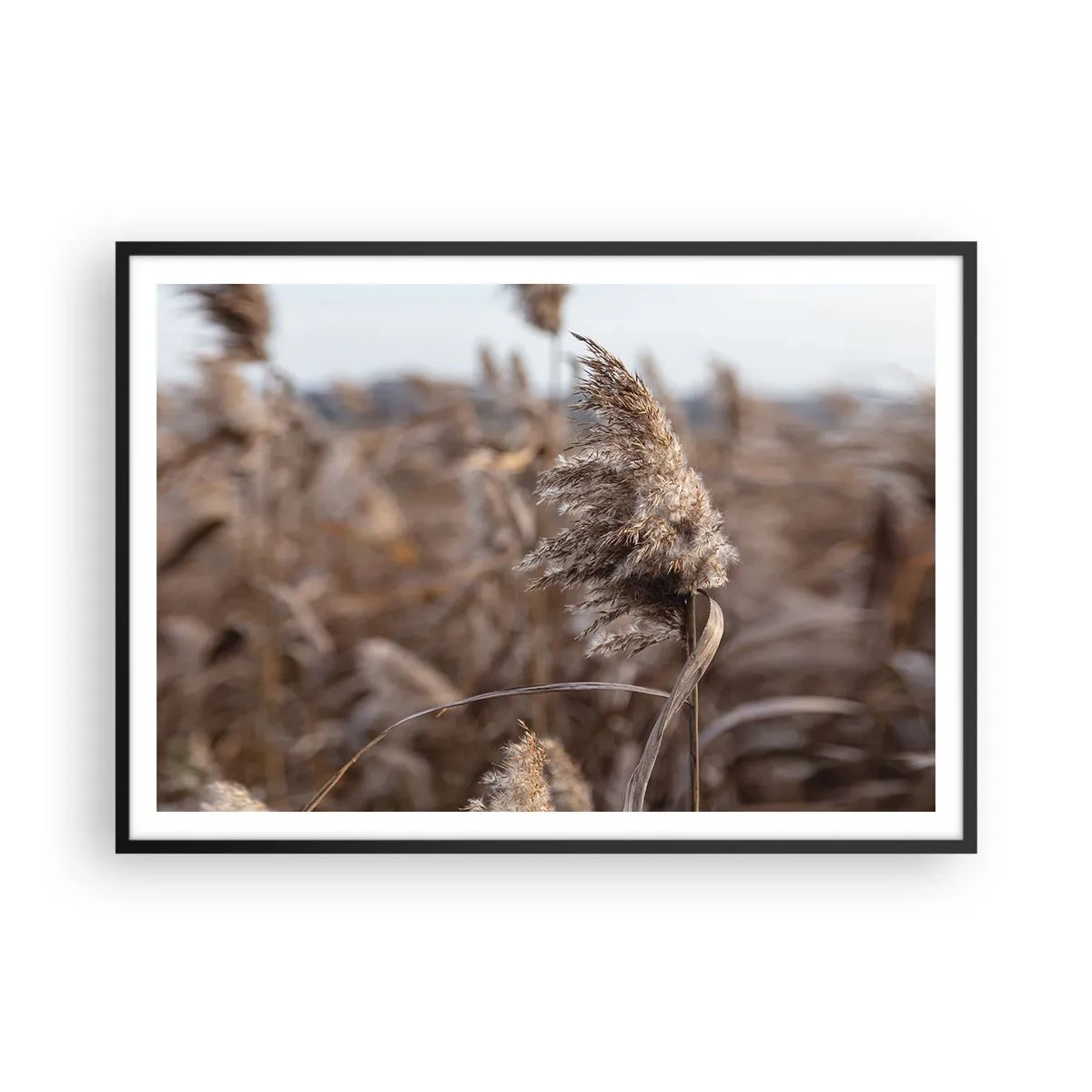 Plakat i sort ramme - Tid til at flyve væk med vinden - 100x70 cm