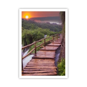 Plakat - En utrolig skønhed - 70x100 cm