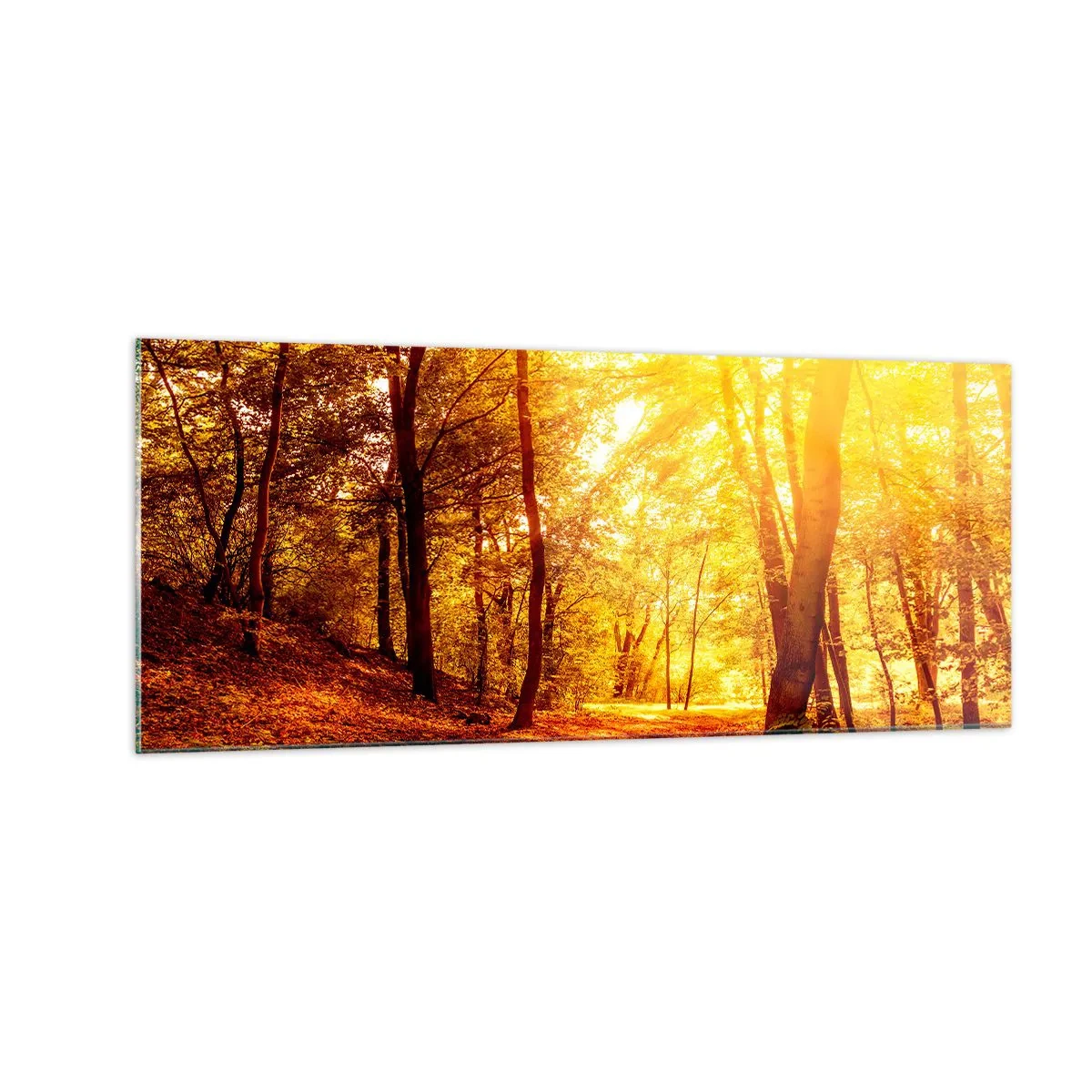 Billede på glas - Til den gyldne lysning - 100x40 cm