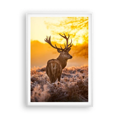 Plakat i hvid ramme - Kongen af efterårsskoven - 70x100 cm