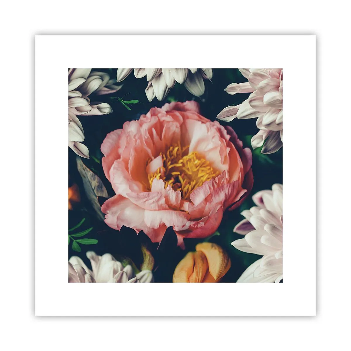 Plakat - Med barok pragt - 30x30 cm