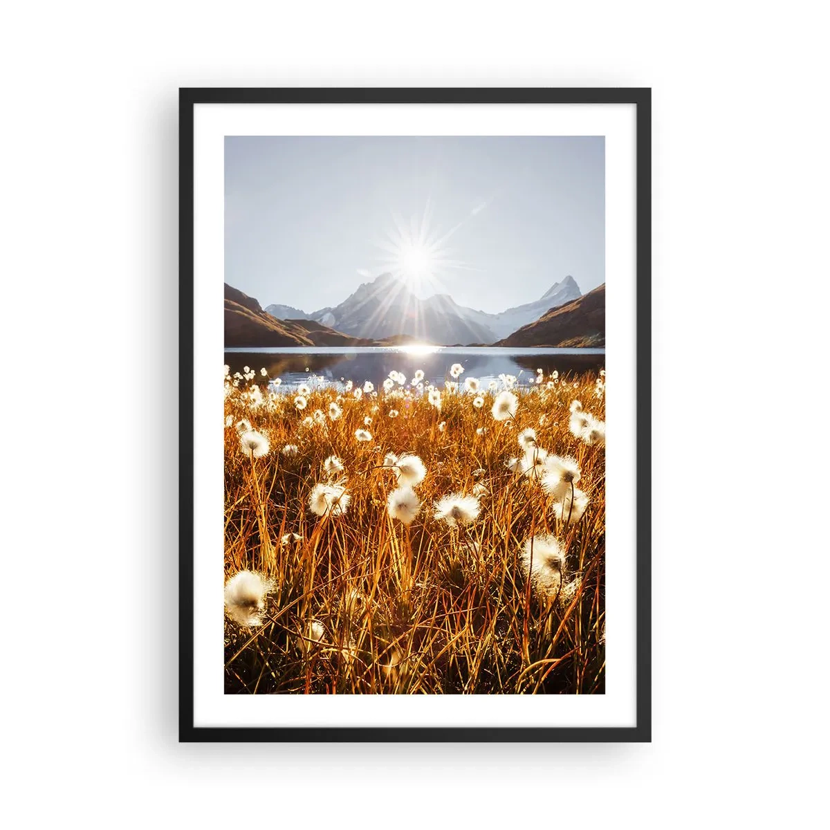 Plakat i sort ramme - En eng med hvide blomster mod en sø og bjerge ved solnedgang - 50x70cm - Hårdhed af sten, blødhed af græs - Moderne vægdekoration til stue og soveværelse ARTTOR