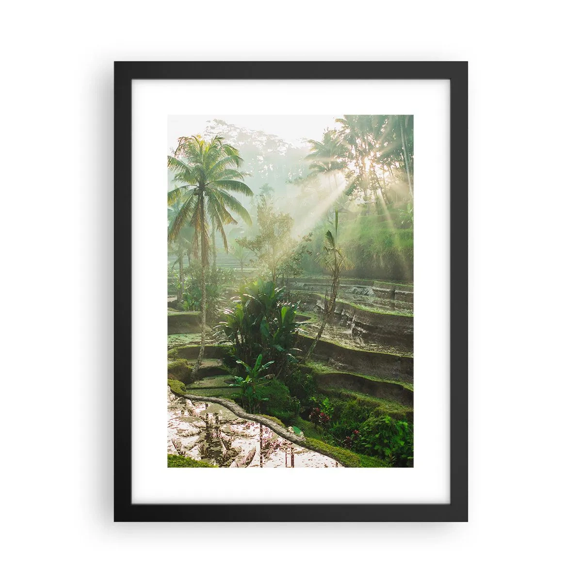 Plakat i sort ramme - Voksende op i solen - 30x40 cm