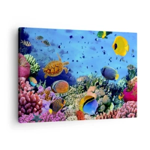 Lærredstryk - Billede på lærred - Koralrev med farverige fisk og en havskildpadde - 70x50cm - Og hvad ved vi om livet... - Moderne vægdekoration til stue og soveværelse ARTTOR