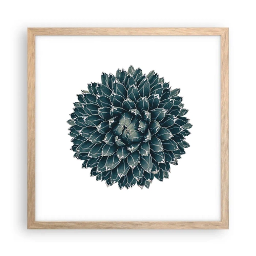 Plakat i ramme af lyst egetræ - Ørkenstjerne - 40x40 cm