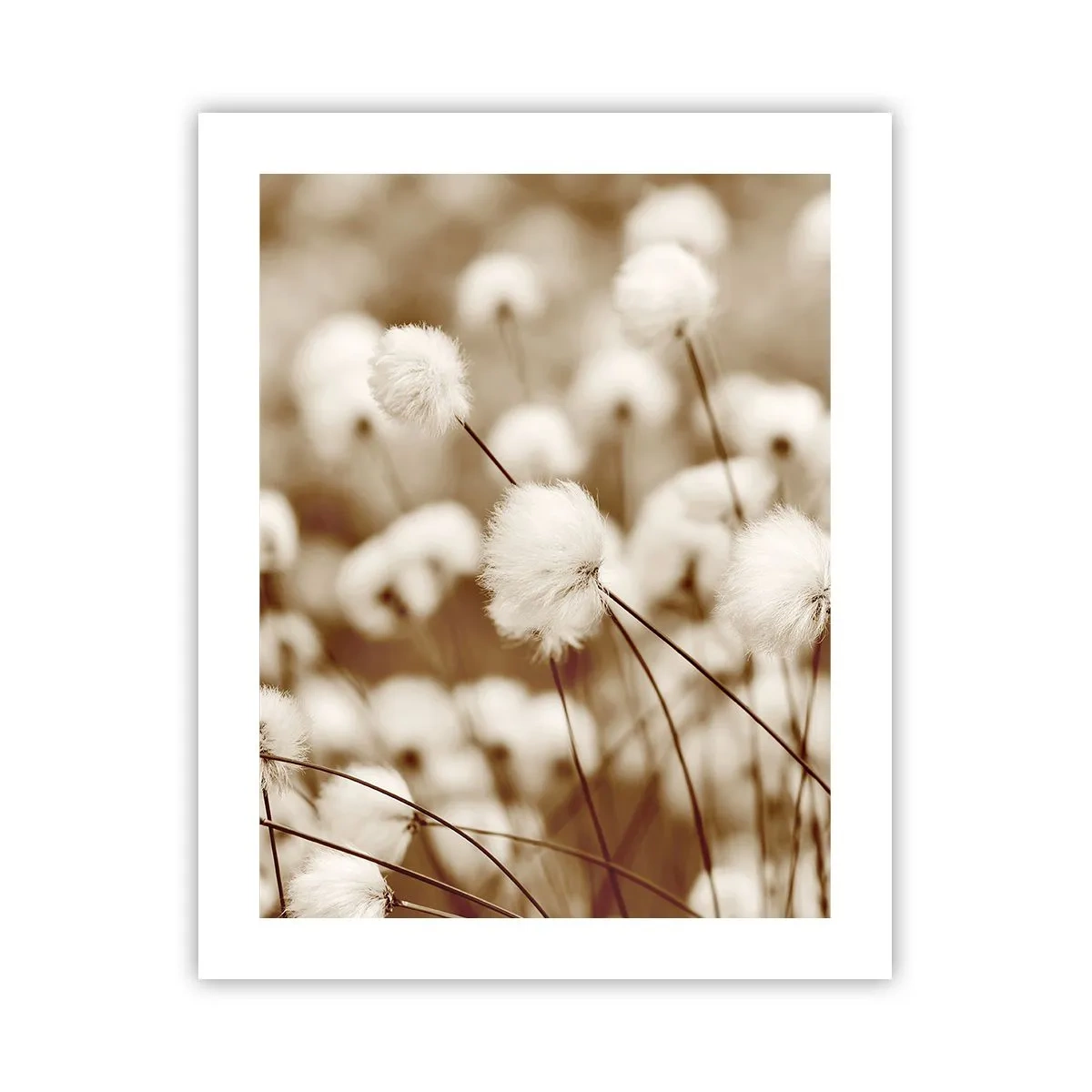 Plakat - Fyldig mark - 40x50 cm