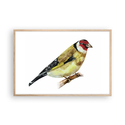 Plakat i ramme af lyst egetræ - Portræt af en fugl - 91x61 cm