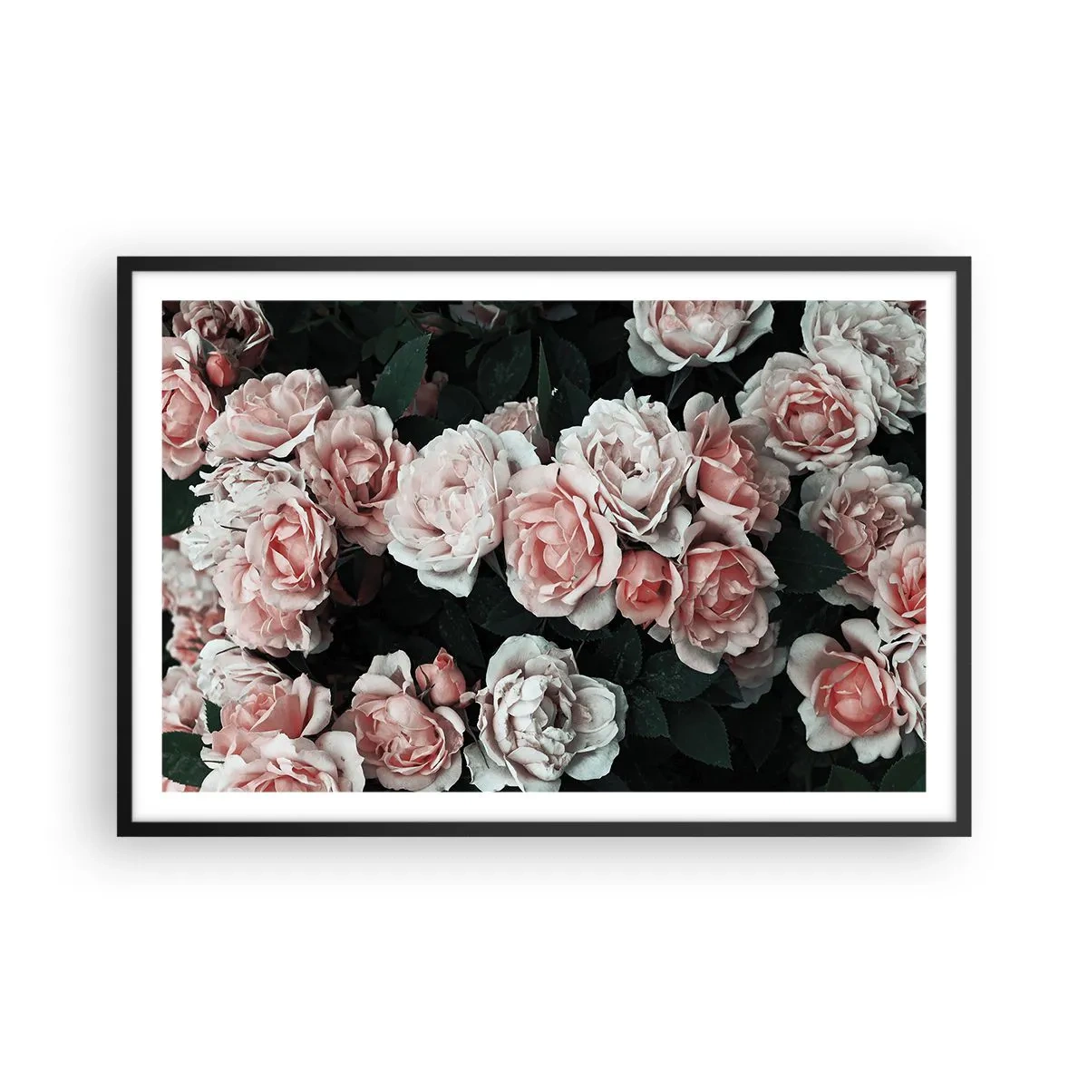 Plakat i sort ramme - Lyserød ansamble - 91x61 cm