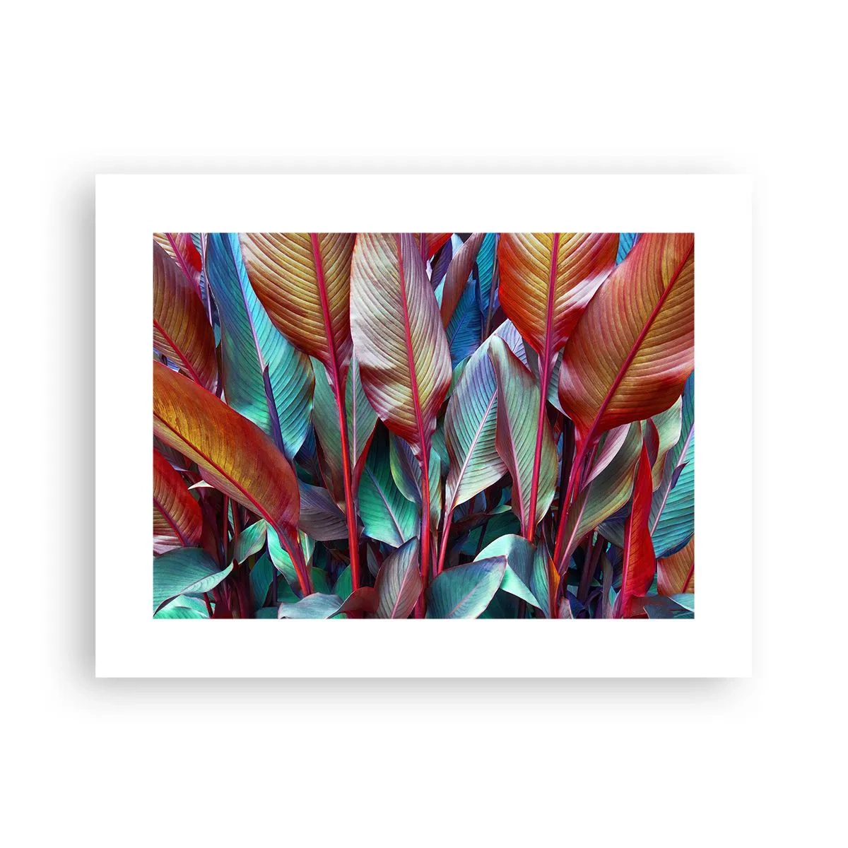 Plakat - Farverigt krat - 40x30 cm