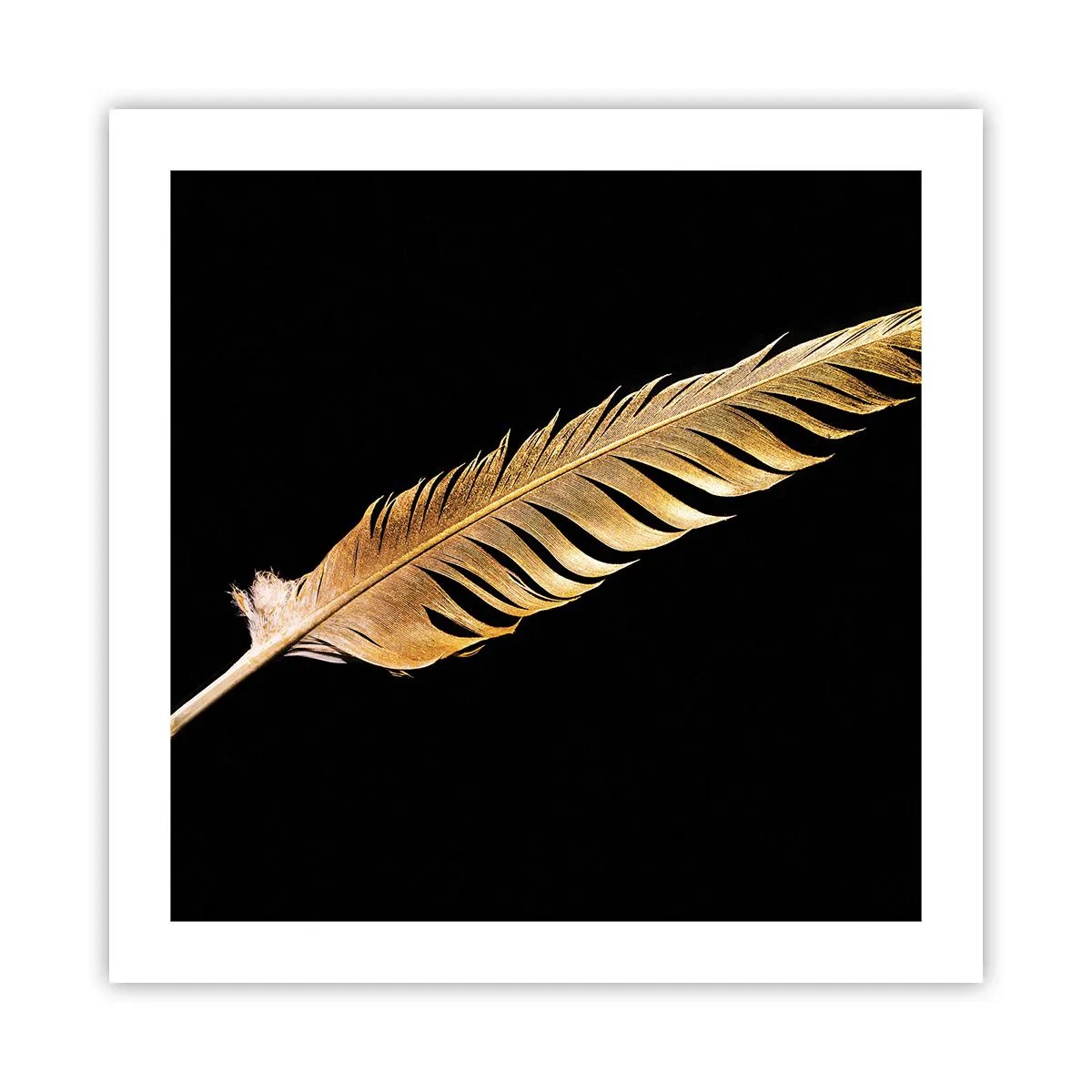 Plakat - Det er ikke nogen ringe præstation, at den... - 50x50 cm