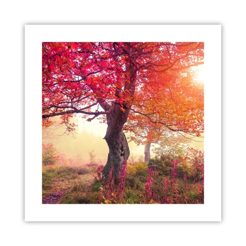 Plakat - Et væld af blomstring - 40x40 cm