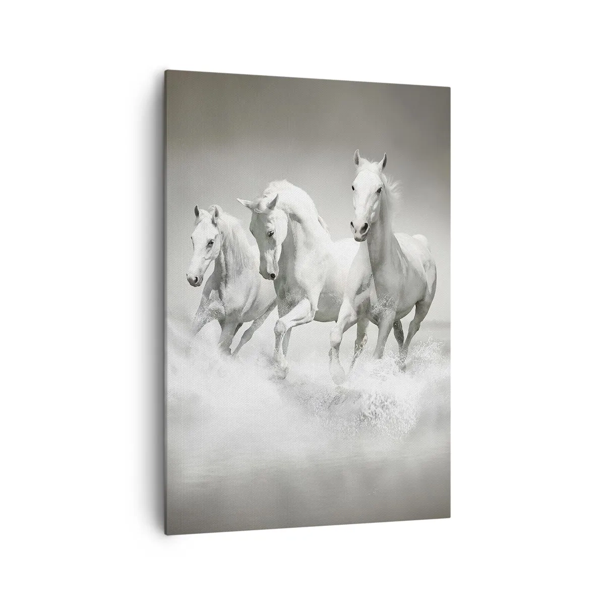 Lærredstryk - Billede på lærred - Hvid galskab - 70x100 cm