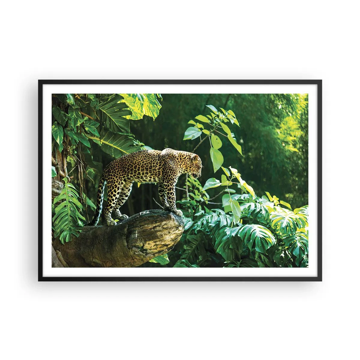 Plakat i sort ramme - Til jagt? - 100x70 cm