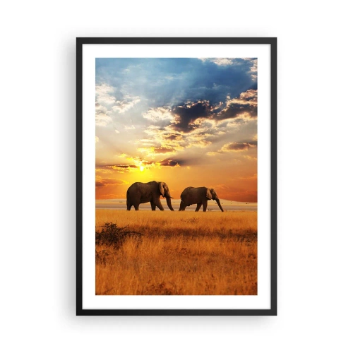 Plakat i sort ramme - Elefanter går i den nedgående sols skær - 50x70cm - Familievandring - Moderne vægdekoration til stue og soveværelse ARTTOR