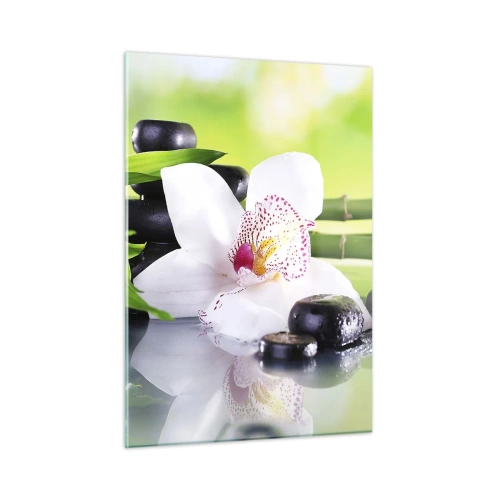 Billede på glas - Kølig friskhed - 50x70 cm