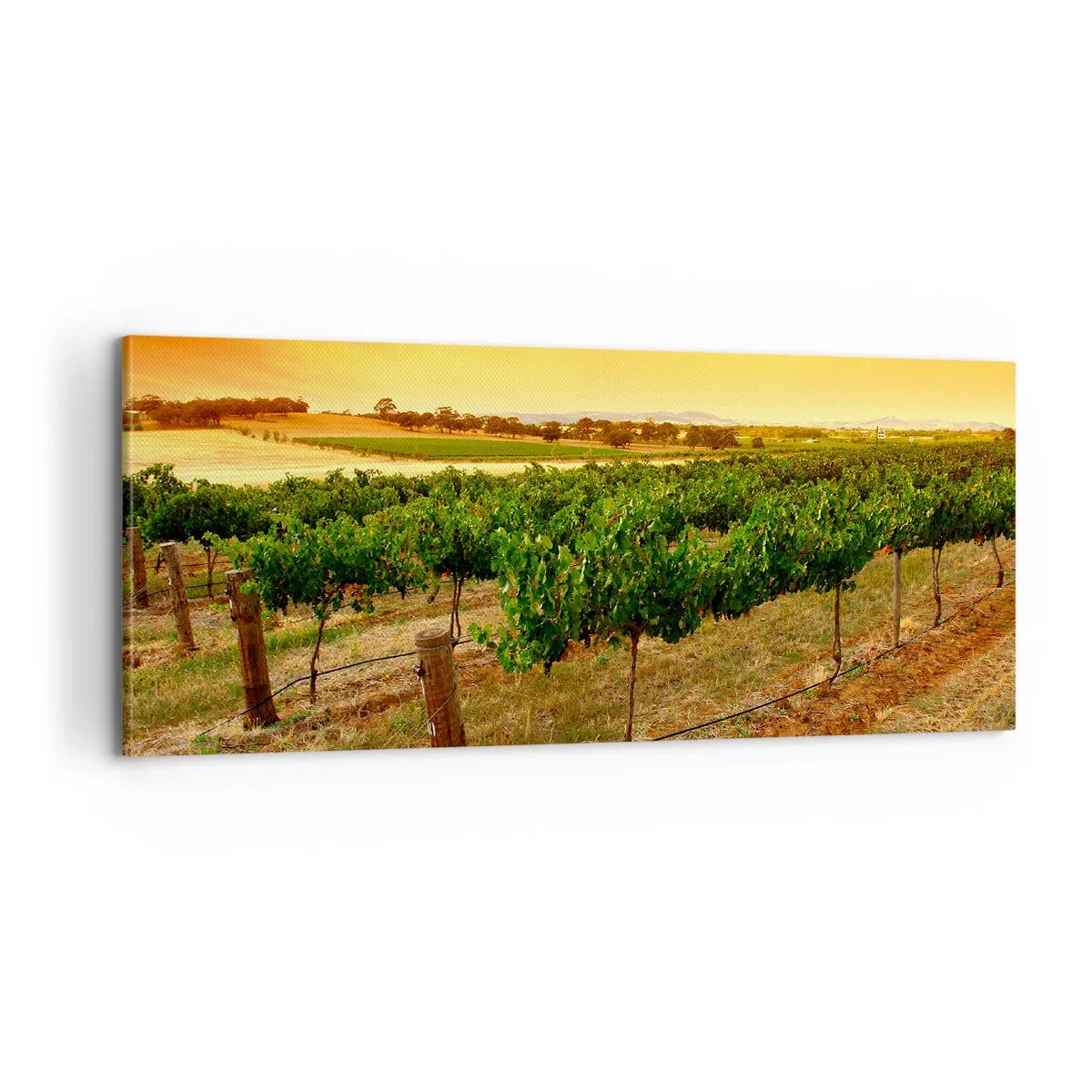 Lærredstryk - Billede på lærred - Drik solen - 100x40 cm