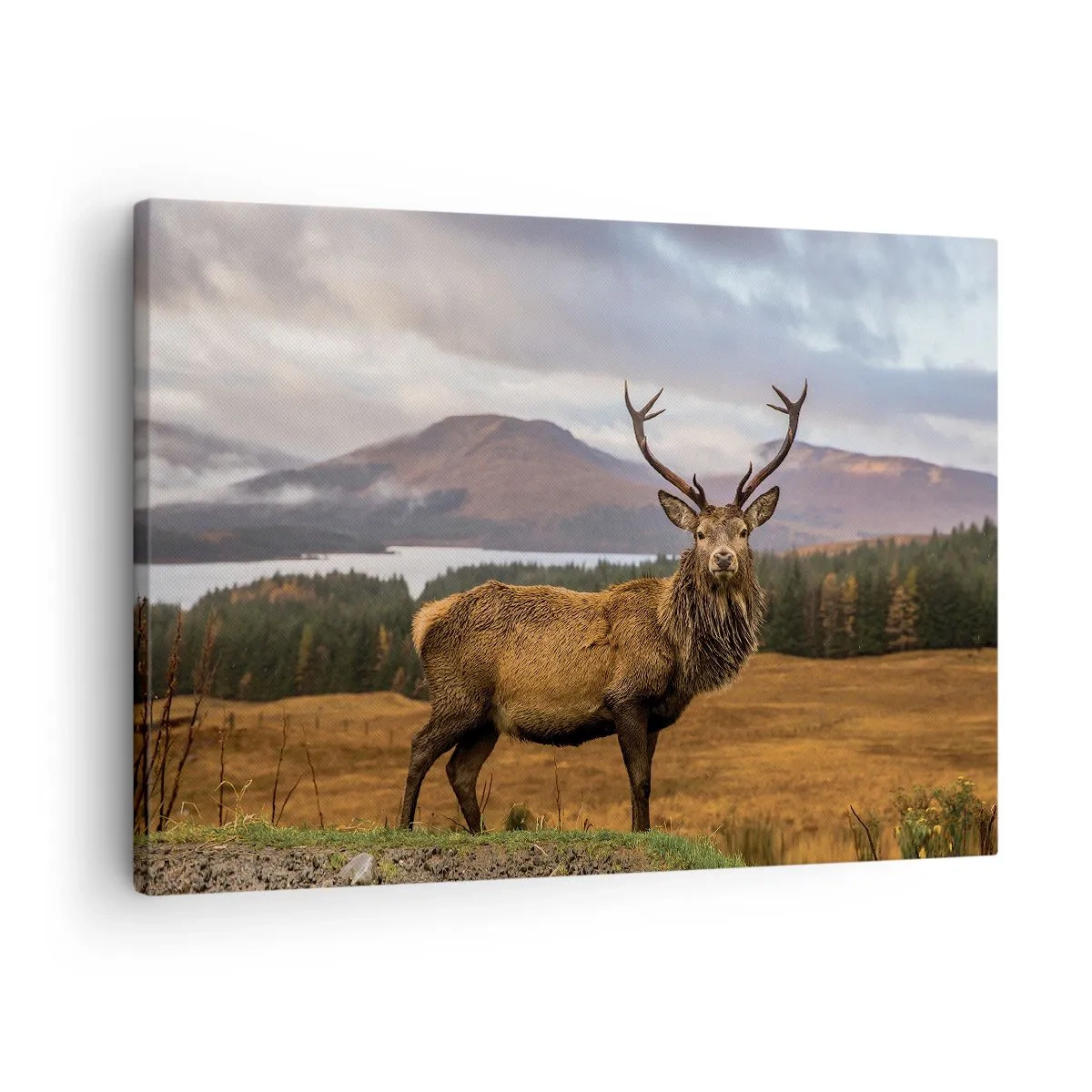 Lærredstryk - Billede på lærred - En hjort mod baggrunden af et bjerglandskab med søer og skov - 70x50cm - Naturens majestæt - Moderne vægdekoration til stue og soveværelse ARTTOR