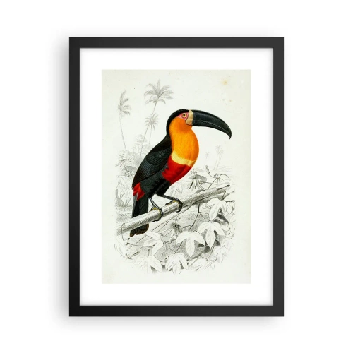 Plakat i sort ramme - Fuglefarver - 30x40 cm