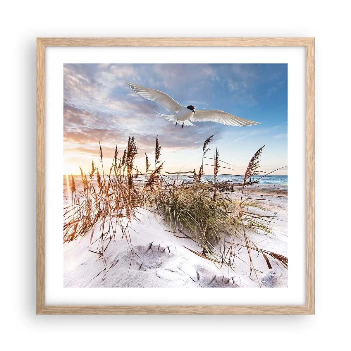 Plakat i ramme af lyst egetræ - Vind fra havet - 50x50 cm