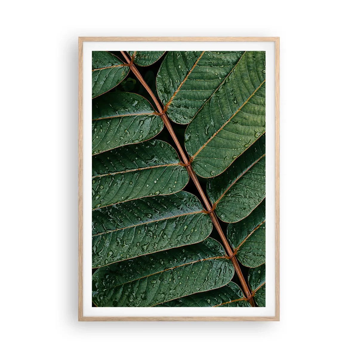 Plakat i ramme af lyst egetræ - I en grøn rytme - 70x100 cm