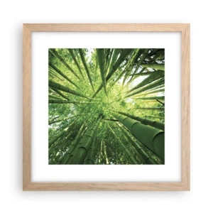 Plakat i ramme af lyst egetræ - I en bambuslund - 30x30 cm