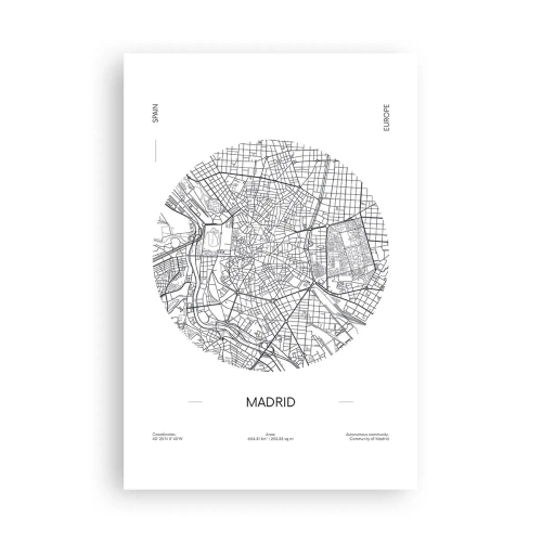 Plakat - Madrids anatomi - 61x91 cm