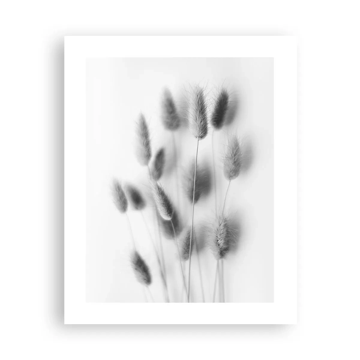 Plakat - Dens bløde græs - 40x50 cm