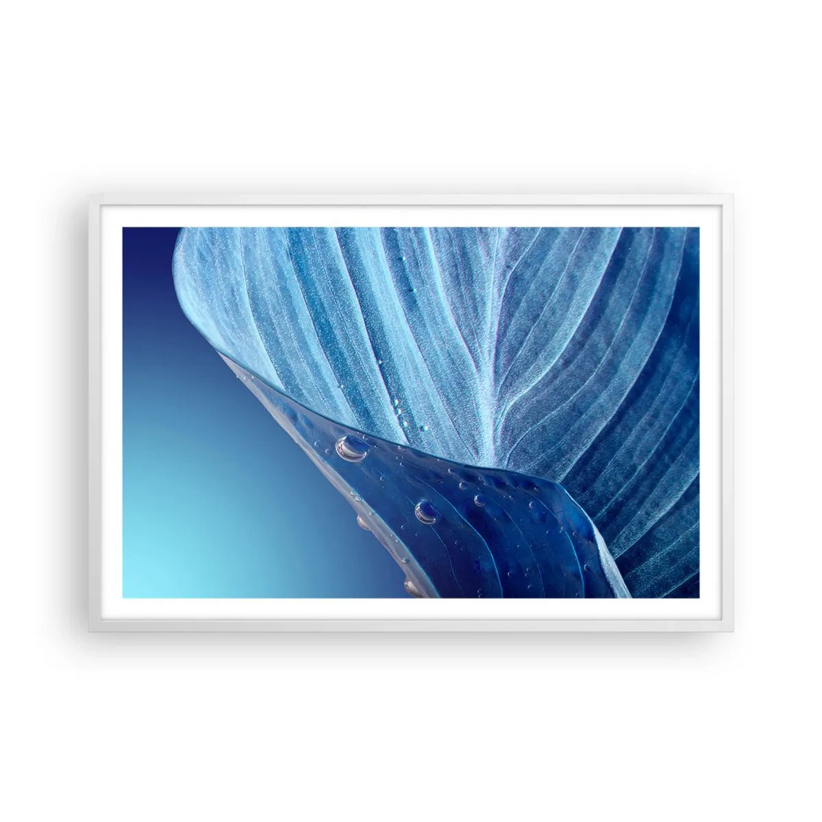 Plakat i hvid ramme - Skjulte dråber af blåt - 91x61 cm