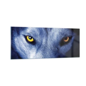 Billede på glas - Et hypnotiserende udseende - 100x40 cm