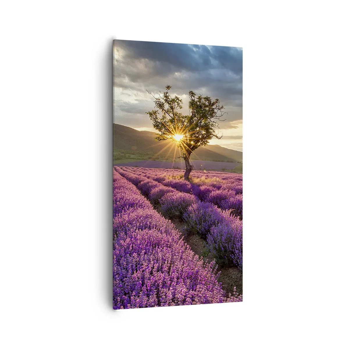 Lærredstryk - Billede på lærred - Lilla aroma - 65x120 cm