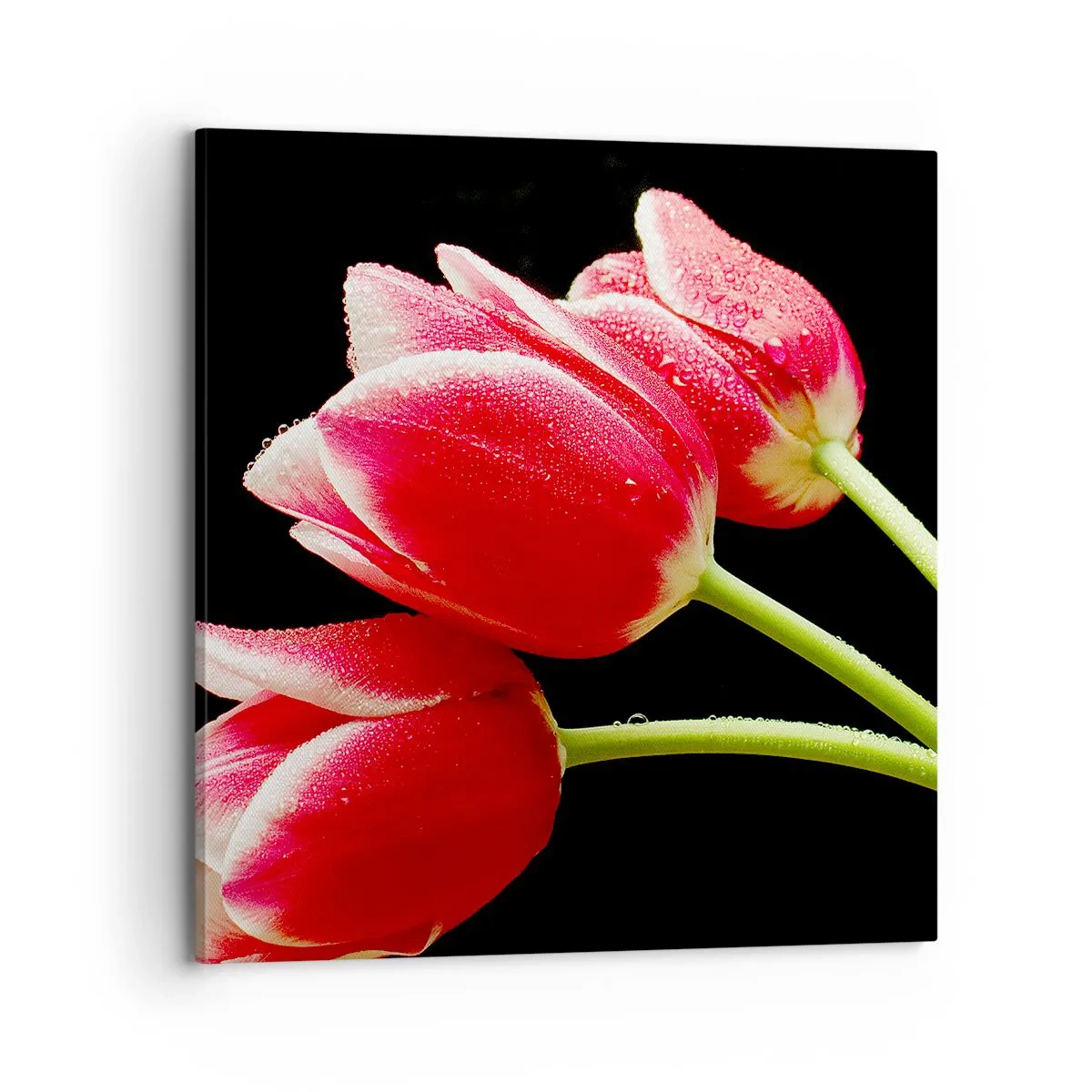 Lærredstryk - Billede på lærred - Løftet om ren kærlighed - 70x70 cm