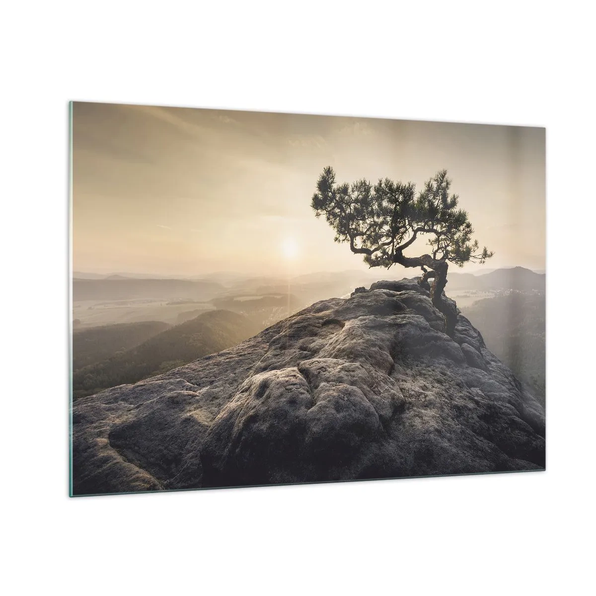 Billede på glas - Livet vinder altid - 100x70 cm