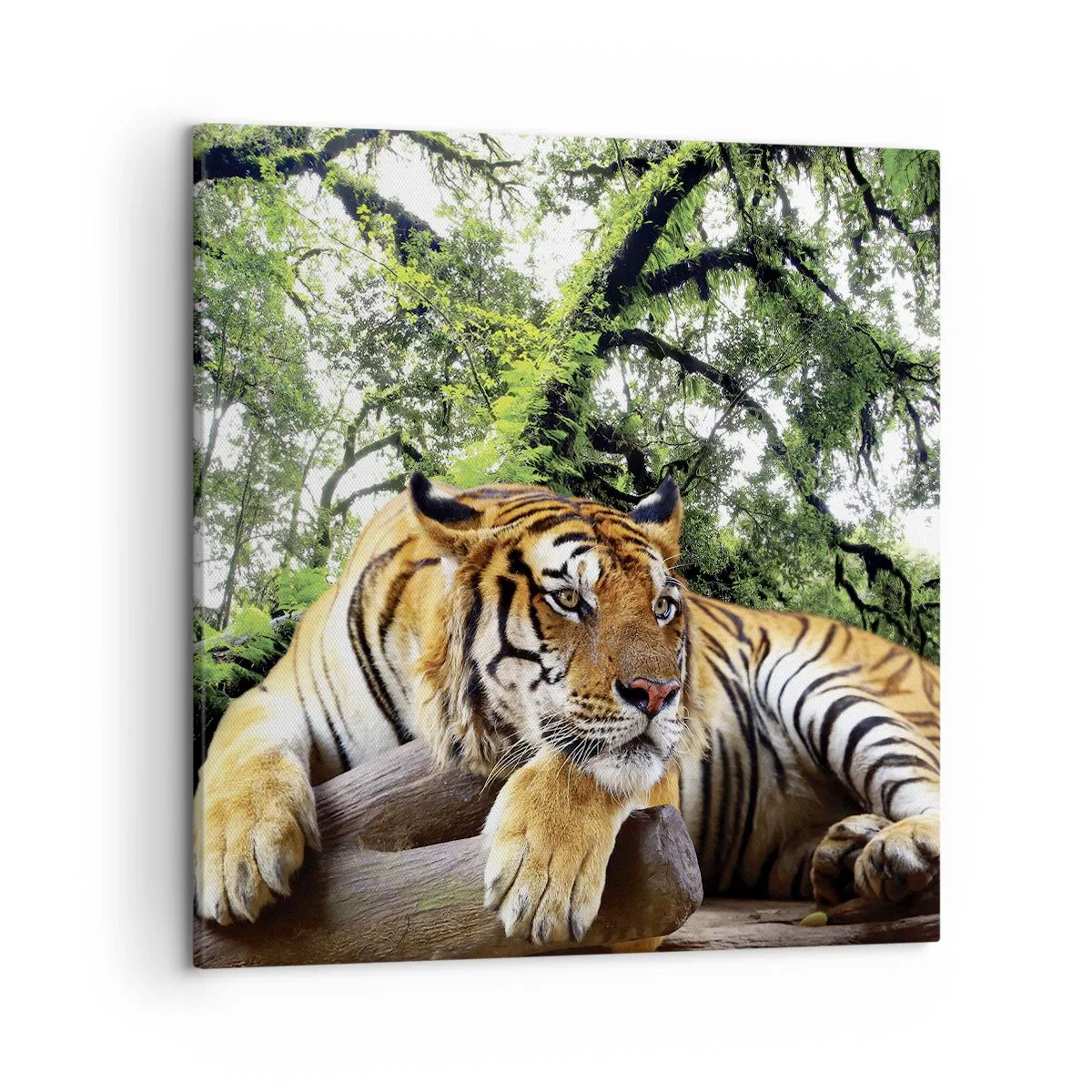 Lærredstryk - Billede på lærred - Med venlig hilsen - 50x50 cm