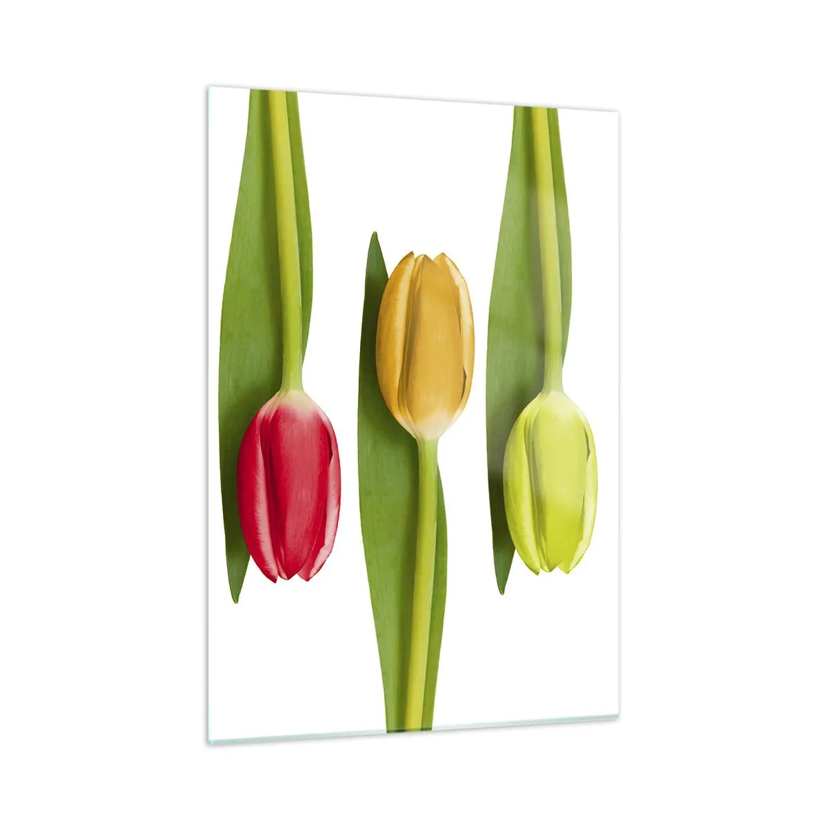 Billede på glas - Regnbuesammensætning - 50x70 cm