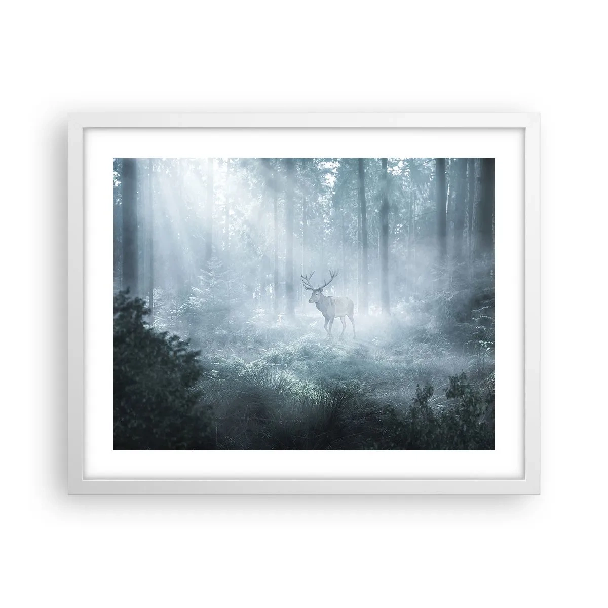 Plakat i hvid ramme - Morgenvandring rundt på godset - 50x40 cm