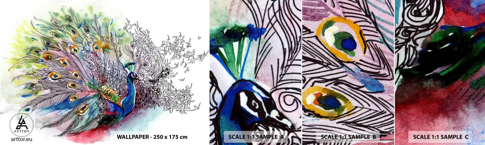 Fototapet Prøve Standard Eco - Med stolthed mod grå  - Fugl, Påfugl, Fjer - 100x30 cm