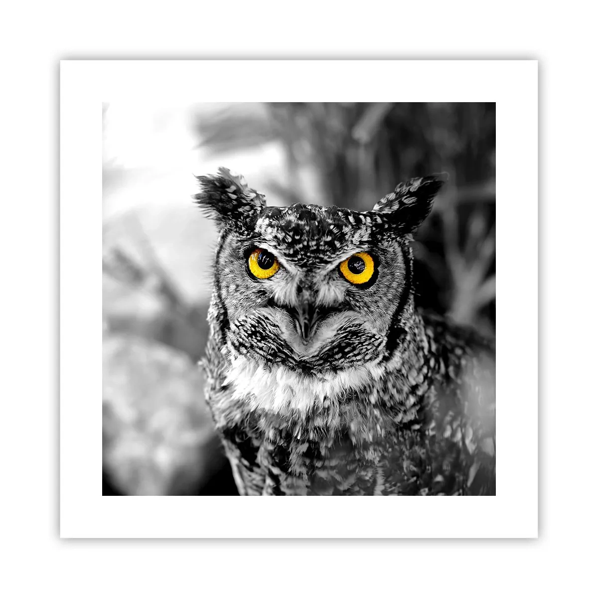 Plakat - Intet kan skjules - 40x40 cm