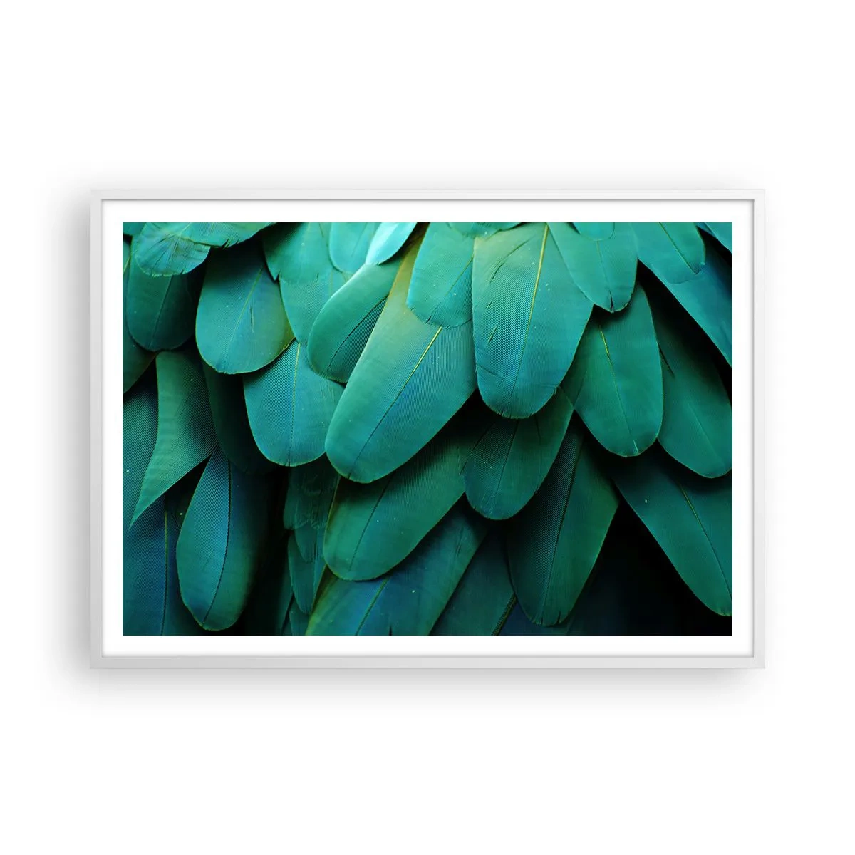 Plakat i hvid ramme - Papegøjenaturens præcision - 100x70 cm