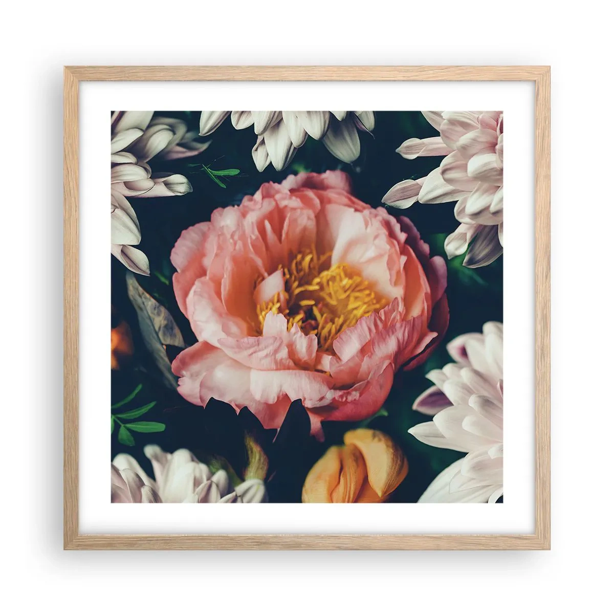Plakat i ramme af lyst egetræ - Med barok pragt - 50x50 cm