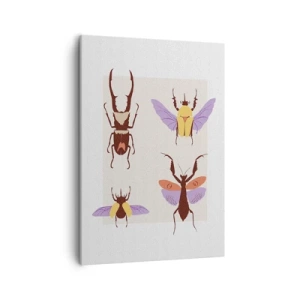 Lærredstryk - Billede på lærred - Insekternes verden - 50x70 cm