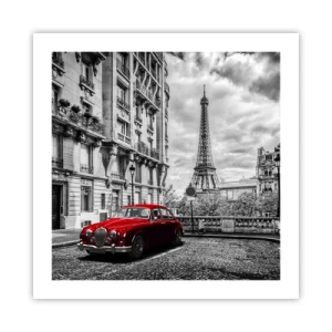 Plakat - Rovdyr i byen - 50x50 cm