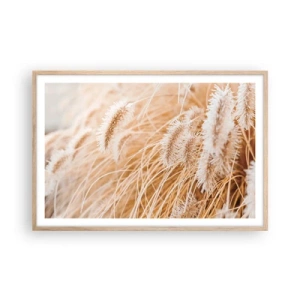 Plakat i ramme af lyst egetræ - Gyldent susen af græsser - 91x61 cm