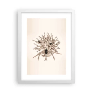 Plakat i hvid ramme - Blomstrende i dans - 30x40 cm