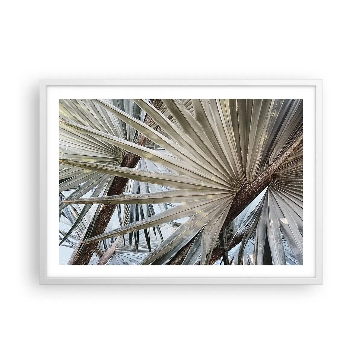 Plakat i hvid ramme - Ventilatorer i troperne - 70x50 cm