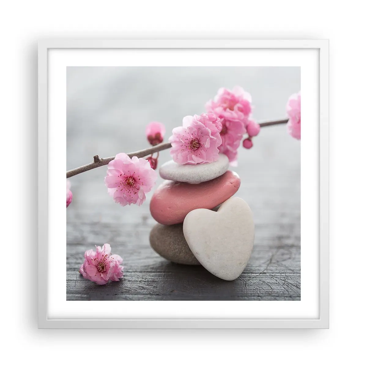 Plakat i hvid ramme - Kirsebærblomstens lyksalighed - 50x50 cm