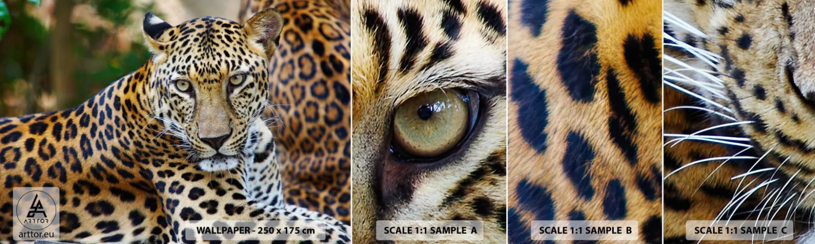 Fototapet Prøve Standard Eco - Vild og rolig - Dyr, leopard, Afrika - 100x30 cm