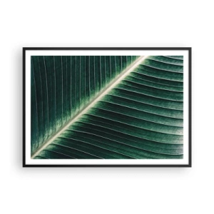 Plakat i sort ramme - Naturens rytme - 100x70 cm