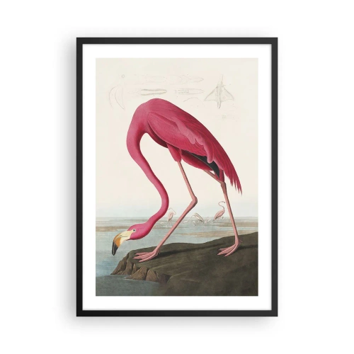 Plakat i sort ramme - En lyserød flamingo mod et naturligt landskab - 50x70cm - Et forbløffende væsen - Moderne vægdekoration til stue og soveværelse ARTTOR
