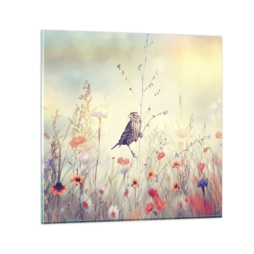 Billede på glas - Fugleportræt med en eng i baggrunden - 50x50 cm