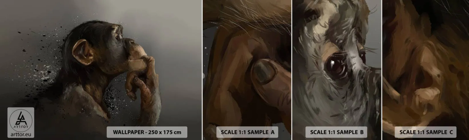 Prøve Fototapet Selvklæbende Deluxe Sticker - Helt sikkert en tænker - Dyr, Abe, Stykke - 100x30 cm